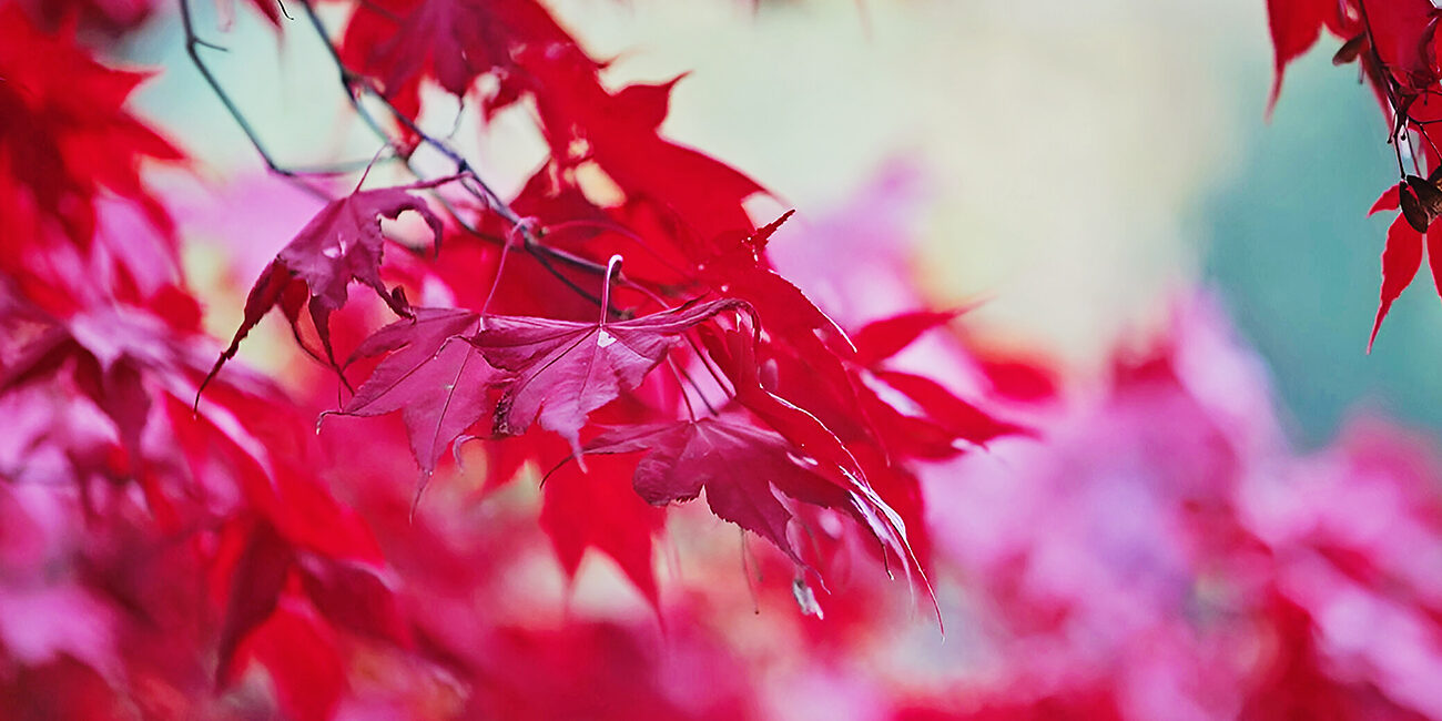 Herbstferien Praxisurlabu